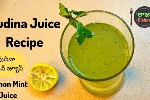 Pudina Juice Recipe