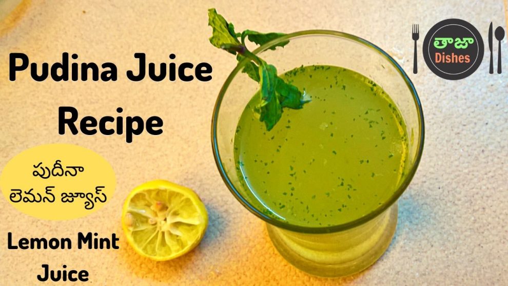 Pudina Juice Recipe
