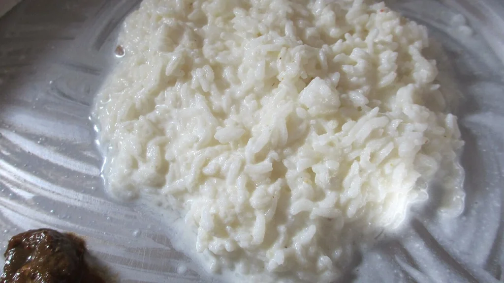 How to Fix Sour Curd Rice